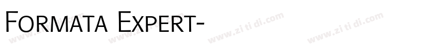 Formata Expert字体转换